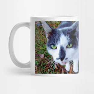 Green Eyed Pussy Cat Mug